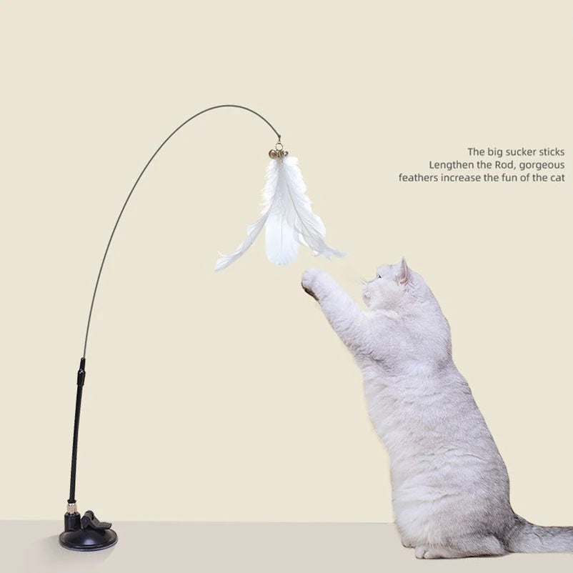 Suction Cup Cat Teaser Toy