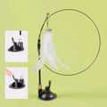 Suction Cup Cat Teaser Toy