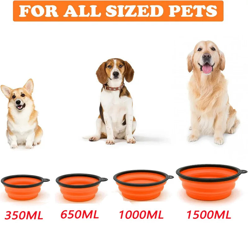 Portable Folding Pet Water & Food Bowl