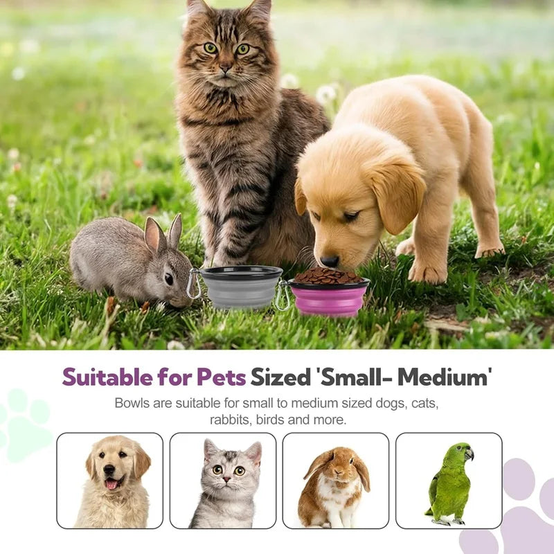 Portable Folding Pet Water & Food Bowl