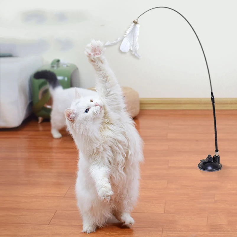 Suction Cup Cat Teaser Toy