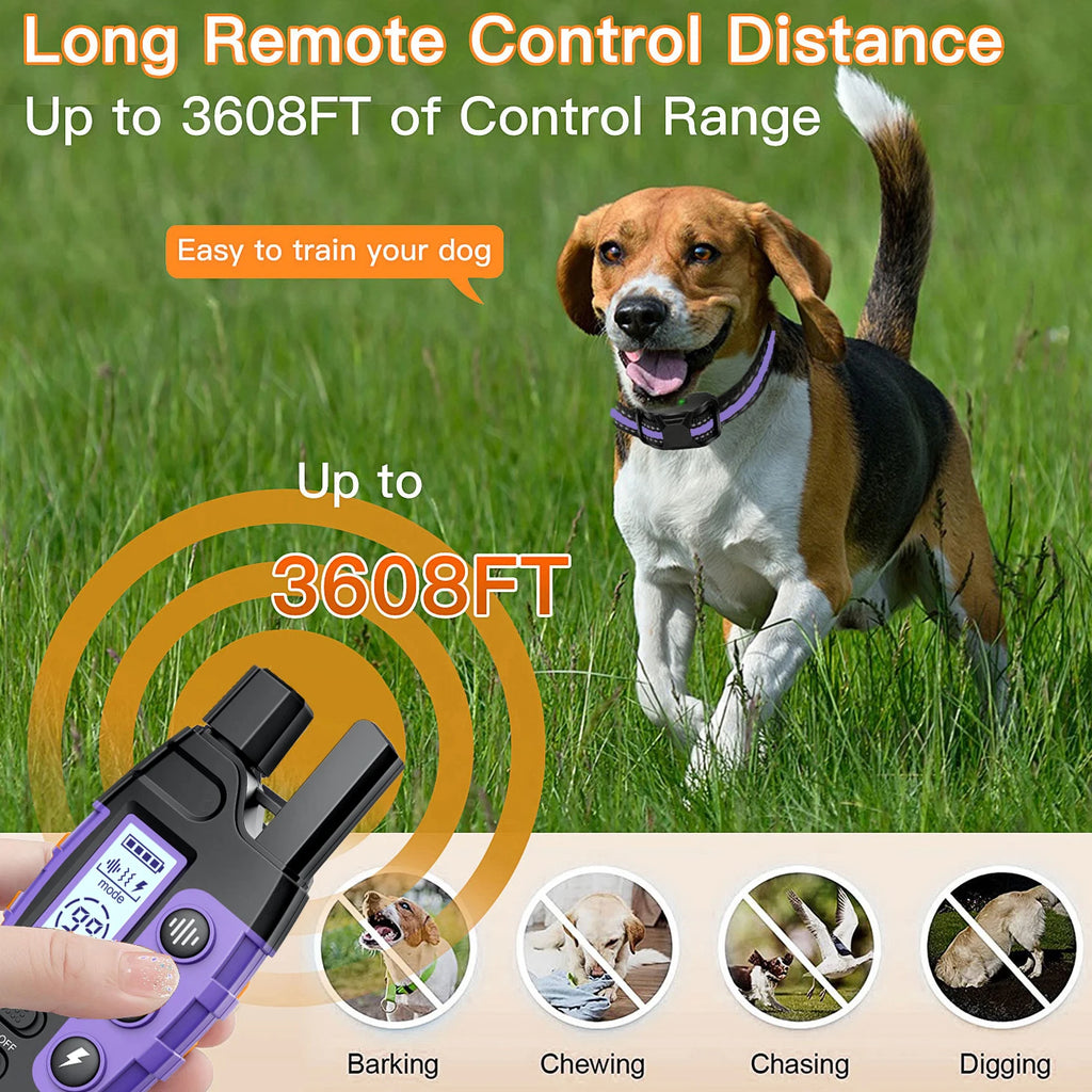 Electric Dog Training Collar